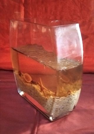 Candela a forma di acquario Vintage buone condizio