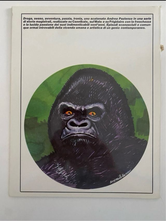 Andrea Pazienza Perchè Pippo sembra sballato