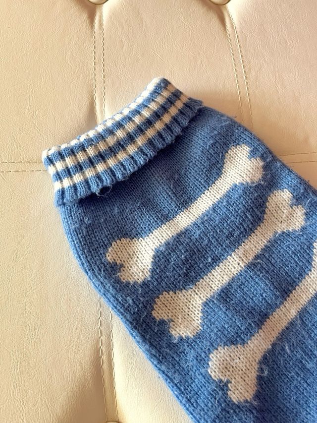 Jersey perro pequeño