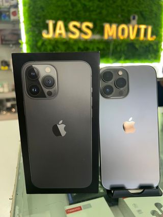 iPhone 13 Pro Max - Gris y Plata