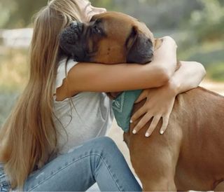 cuidamos de tu mascota!