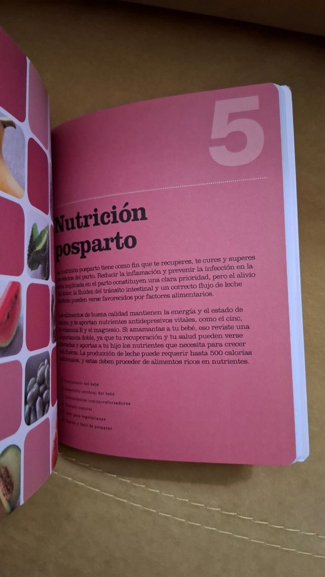 100 mejores alimentos para el embarazo