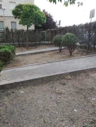 Desbroce de parcelas 632 472573