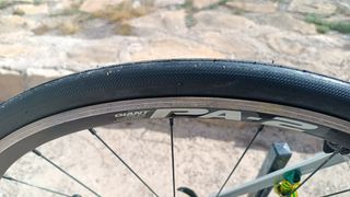 Giant Propel Advanced 