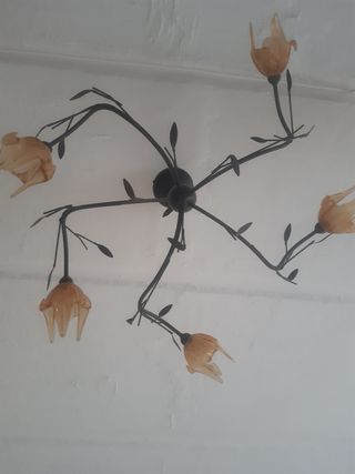 Lámpara techo 5 tulipas