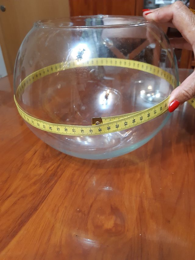 Pecera de cristal globo grande