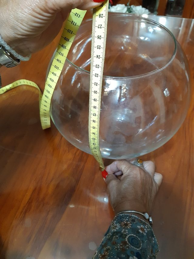 Pecera de cristal globo grande