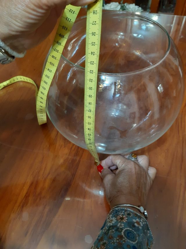 Pecera de cristal globo grande