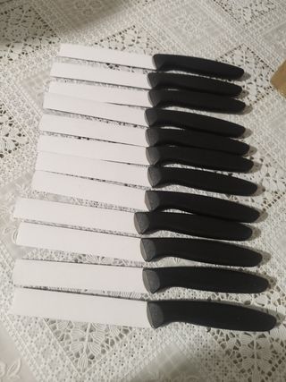 Set di 12 coltelli da bistecca