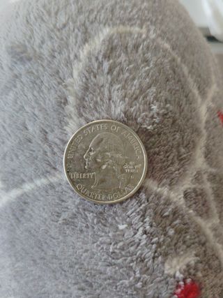 Cuarto de dólar Wisconsin 1948 escucho ofertas 