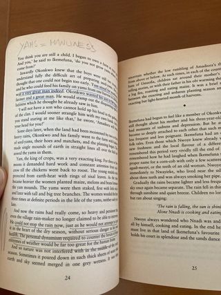 Things Fall Apart (African Writers Series)