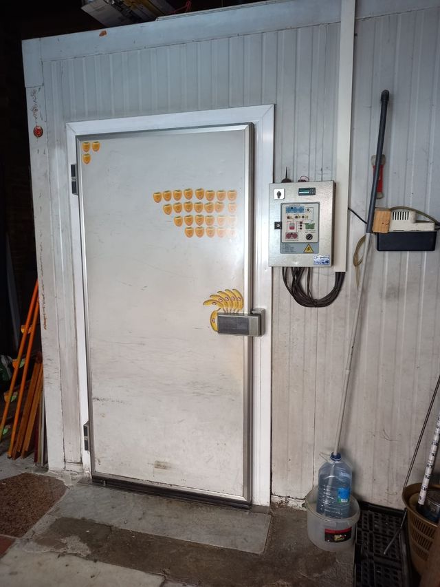 Cámara frigorífica - Frutas