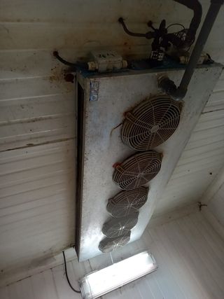 Cámara frigorífica - Frutas