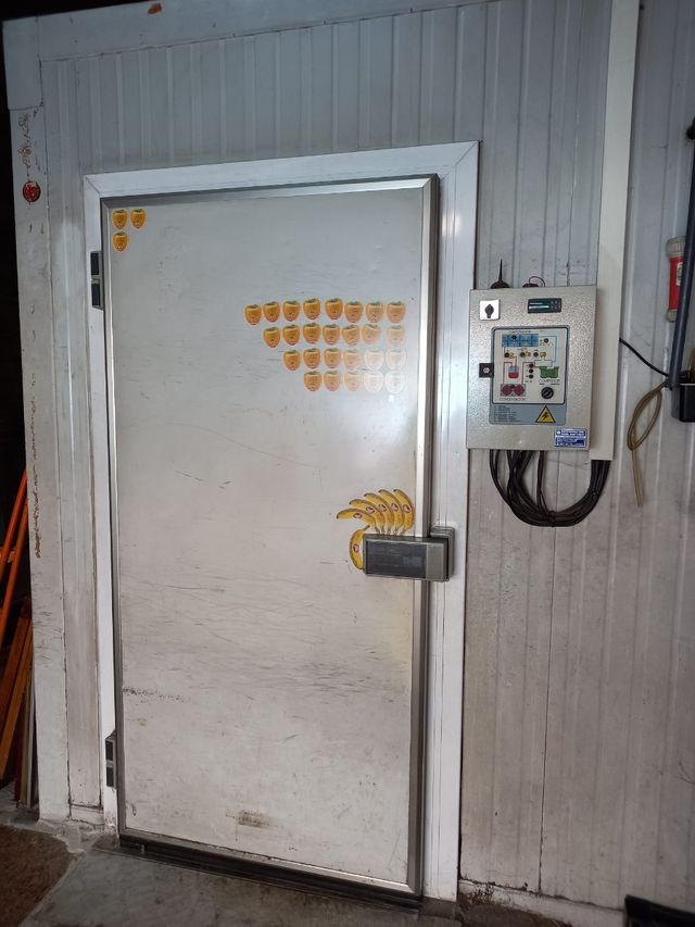 Cámara frigorífica - Frutas