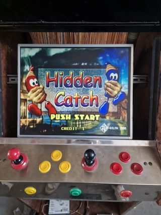 Hidden catch