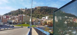 Me ofrezco como pintor y jardinero económico
