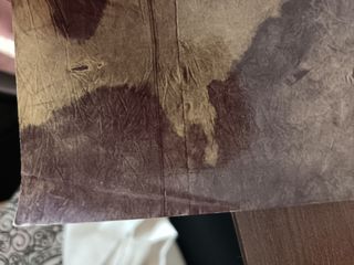 Reconocimientos Pinturas del Carmen J. Schnabel