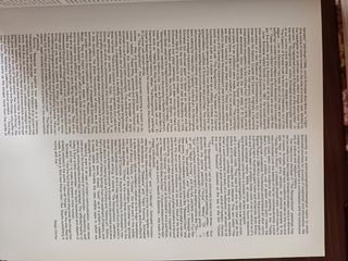 Reconocimientos Pinturas del Carmen J. Schnabel