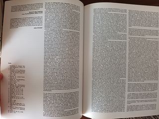 Reconocimientos Pinturas del Carmen J. Schnabel