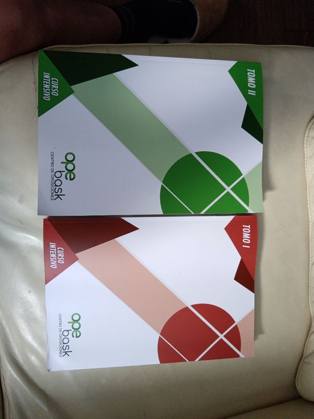 Temario policia país Vasco, curso intesivo