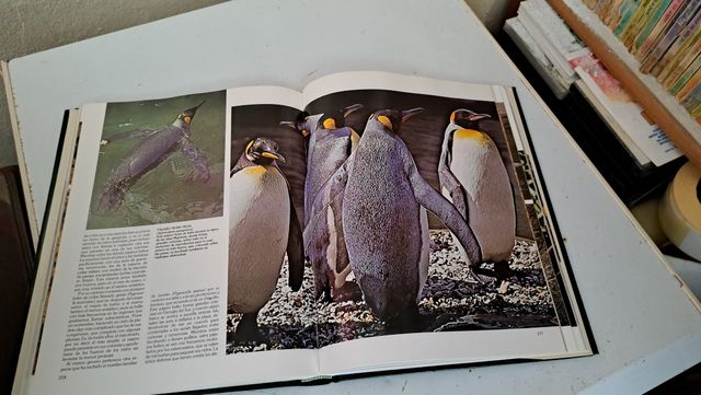 2 Enciclopedias antiguas