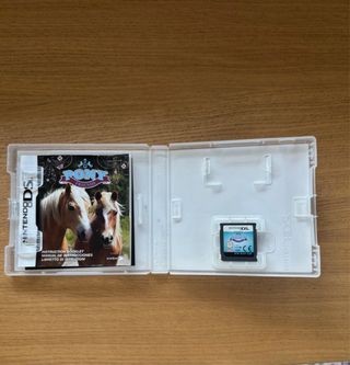 Lotto giochi Nintendo DS