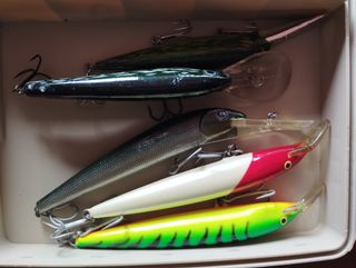 Señuelos pesca depredadores