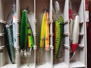 Señuelos pesca depredadores