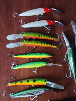 Señuelos pesca depredadores
