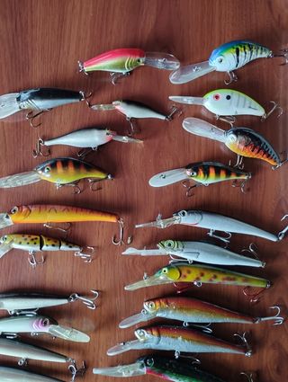 Señuelos pesca depredadores
