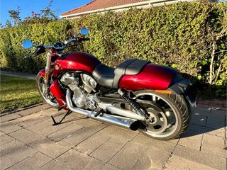 Harley Davidson Vrod Muscle 2009