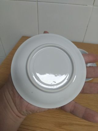 🇩🇪 Tazas porcelana vintage rosas