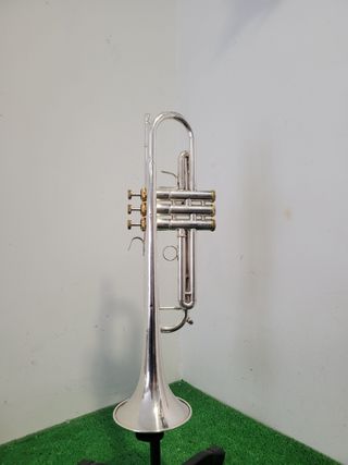 Trompeta 