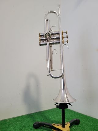 Trompeta 
