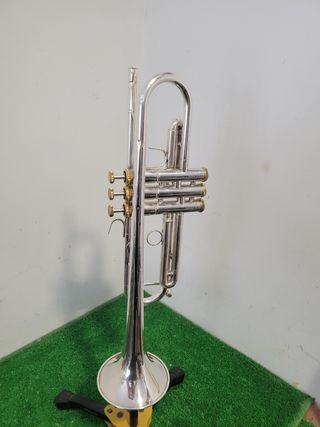 Trompeta 