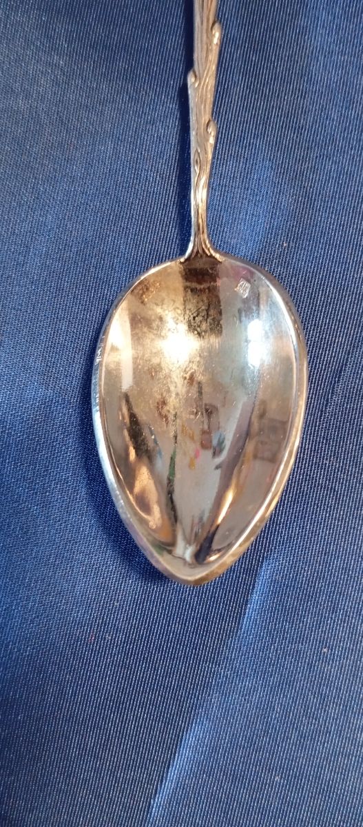 Cuchara plata colección