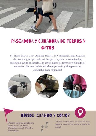 PASEADORA DE PERROS