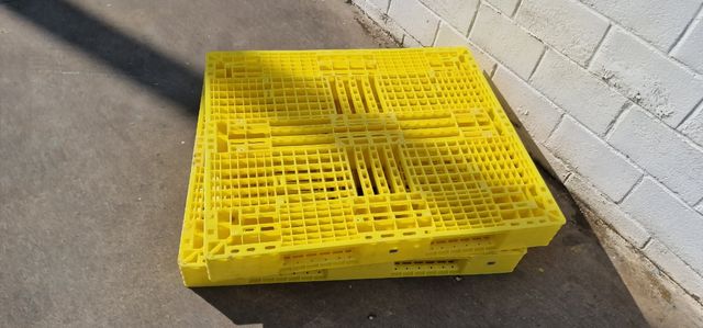  Palets plástico amarillo