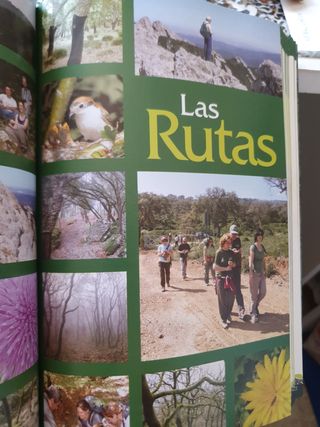 Campo de Gibraltar. Guia del excursionista. Vol. I