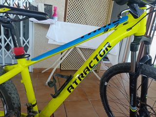 Bicicleta Atractor 29