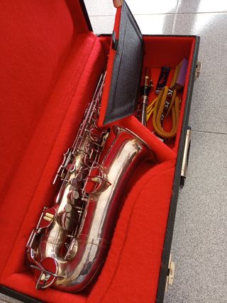 Saxo alto Toneking plateado