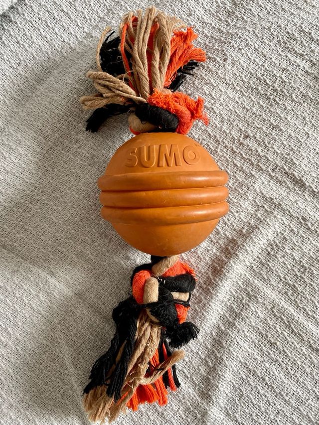 Juguete Sumo + Cortauñas Trixie