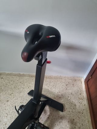 Bicicleta spinning Biking 500