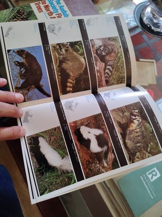 Guías de naturaleza de la Sociedad Audubon