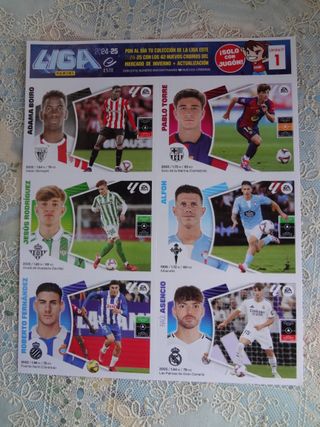Liga Este 23-24-25 Mercado de Invierno.