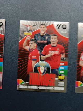 Cromos Adrenalyn 24-25