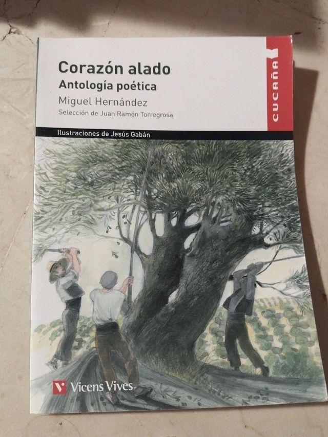 Corazon Alado - Cucaa