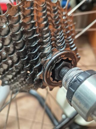 Rodillo Bkool Connect