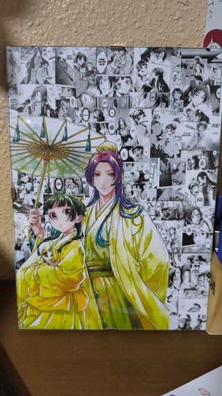 Cuadro de los diarios de la boticaria