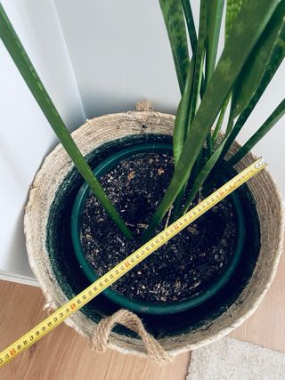 Cesto grande de decoracion maceta yute.